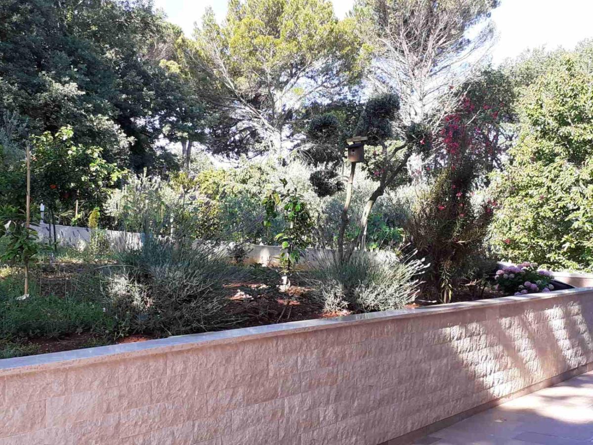 Apartments Marina-Mare Poreč Dış mekan fotoğraf